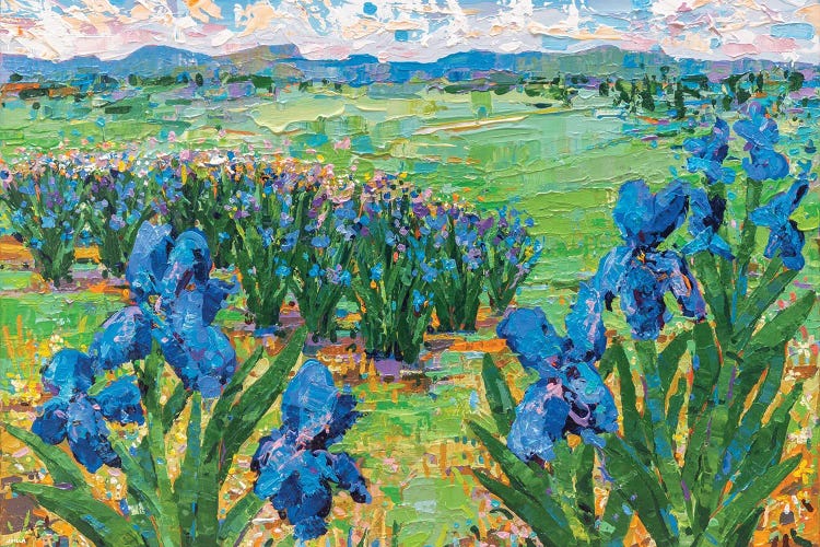 Irises Landscape II