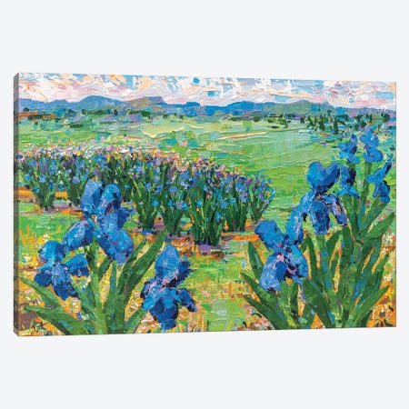 Irises Landscape II Canvas Print #JVN46} by Joseph Villanueva Canvas Wall Art