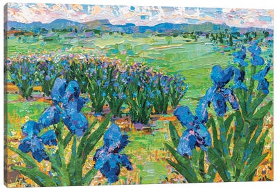 Irises Landscape II Canvas Art Print - Iris Art
