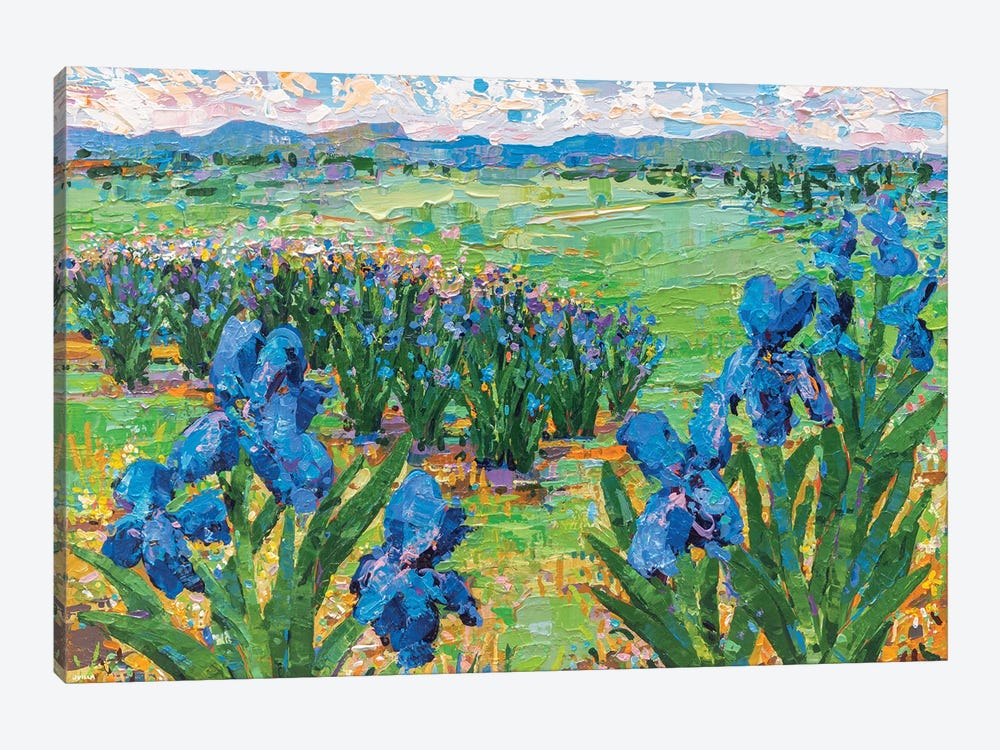 Irises Landscape II by Joseph Villanueva 1-piece Canvas Wall Art