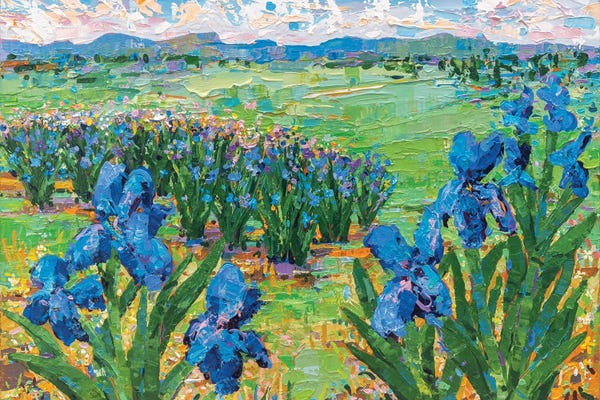 Joseph Villanueva: Irises Landscape II by Joseph Villanueva