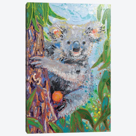 Koala Canvas Print #JVN48} by Joseph Villanueva Canvas Print