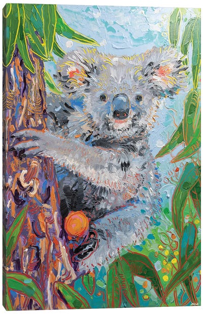 Koala Canvas Art Print - Joseph Villanueva