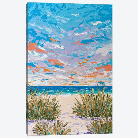 Beach Path XIII Canvas Print #JVN8} by Joseph Villanueva Canvas Art Print