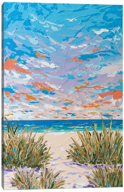 Beach Path XIII Canvas Art Print - Joseph Villanueva