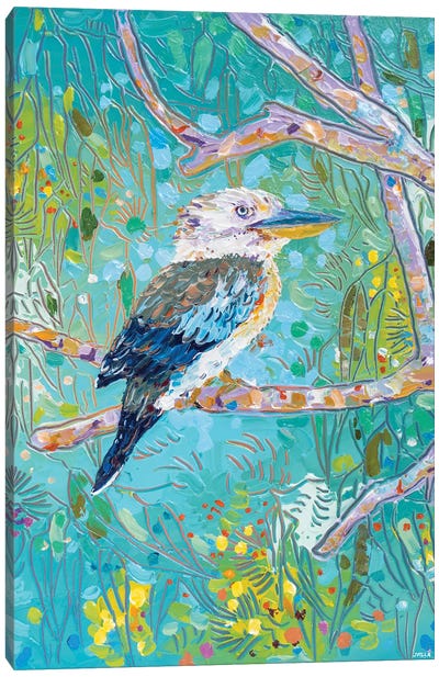 Blue-Winged Kookaburra Canvas Art Print - Kookaburras