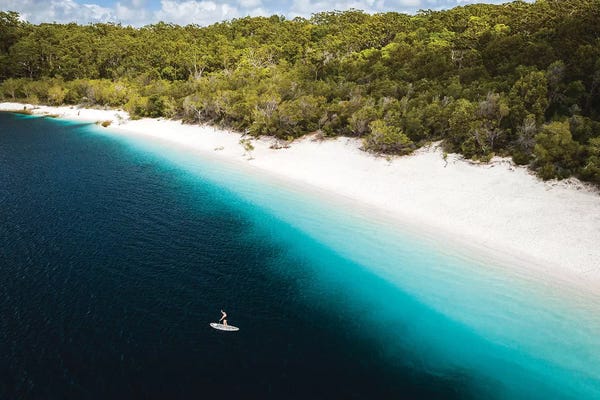 Queensland: Paddle Boarder Beach Lake Mckenzie (wide) by James Vodicka