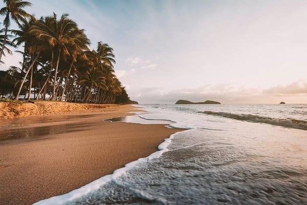 James Vodicka: Palm Cove Golden Beach Sunrise by James Vodicka