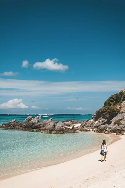 James Vodicka: Paradise Beach Cove by James Vodicka