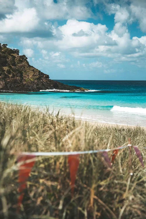 Pristine Island Beach Through The Grass