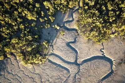 Raft Point Abstract Mangroves Aerial by James Vodicka art print