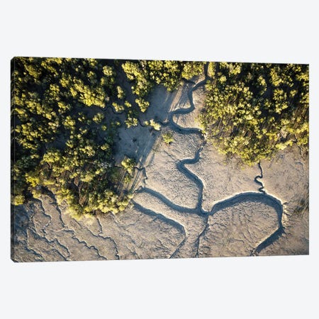 Raft Point Abstract Mangroves Aerial Canvas Print #JVO140} by James Vodicka Canvas Art