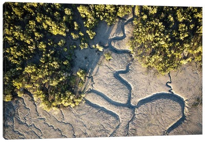 Raft Point Abstract Mangroves Aerial Canvas Art Print - James Vodicka