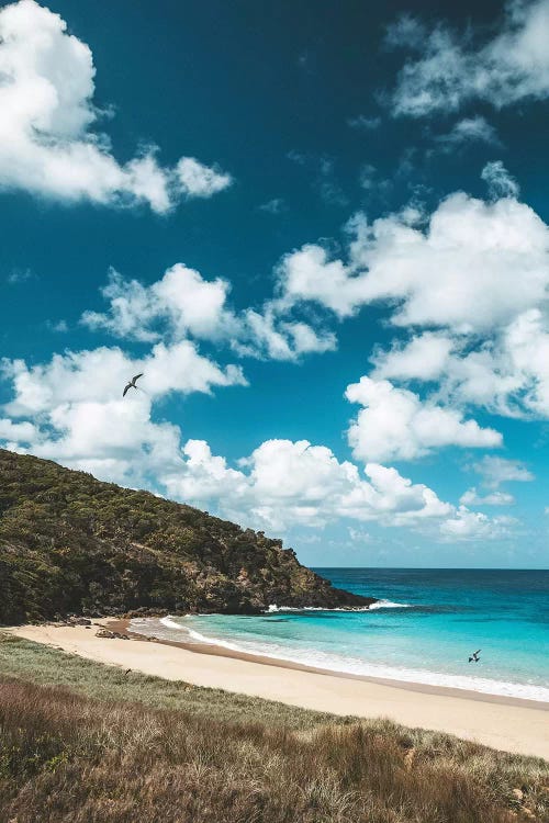 Secluded Island Beach Blue Water (Tall)