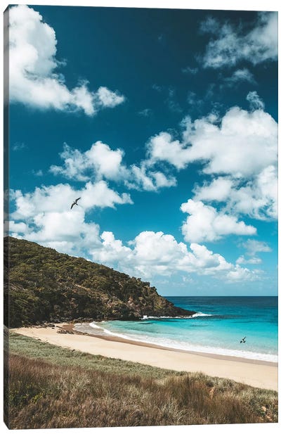 Secluded Island Beach Blue Water (Tall) Canvas Art Print - James Vodicka