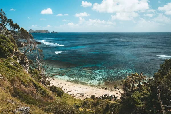 James Vodicka: Secluded Jungle Forest Beach With Coral Reef by James Vodicka