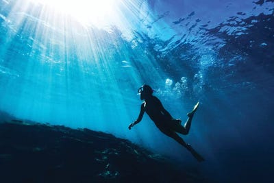 Silhouetted Snorkeller with Underwater Sun Rays by James Vodicka art print