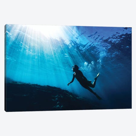 Silhouetted Snorkeller with Underwater Sun Rays Canvas Print #JVO163} by James Vodicka Canvas Wall Art