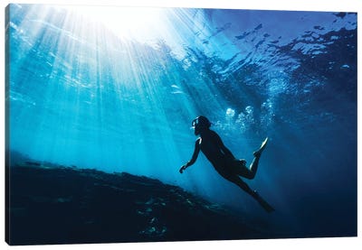 Silhouetted Snorkeller with Underwater Sun Rays Canvas Art Print - James Vodicka