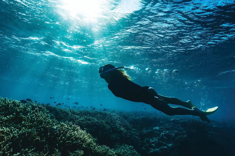 Snorkeller Girl Reef Light Rays