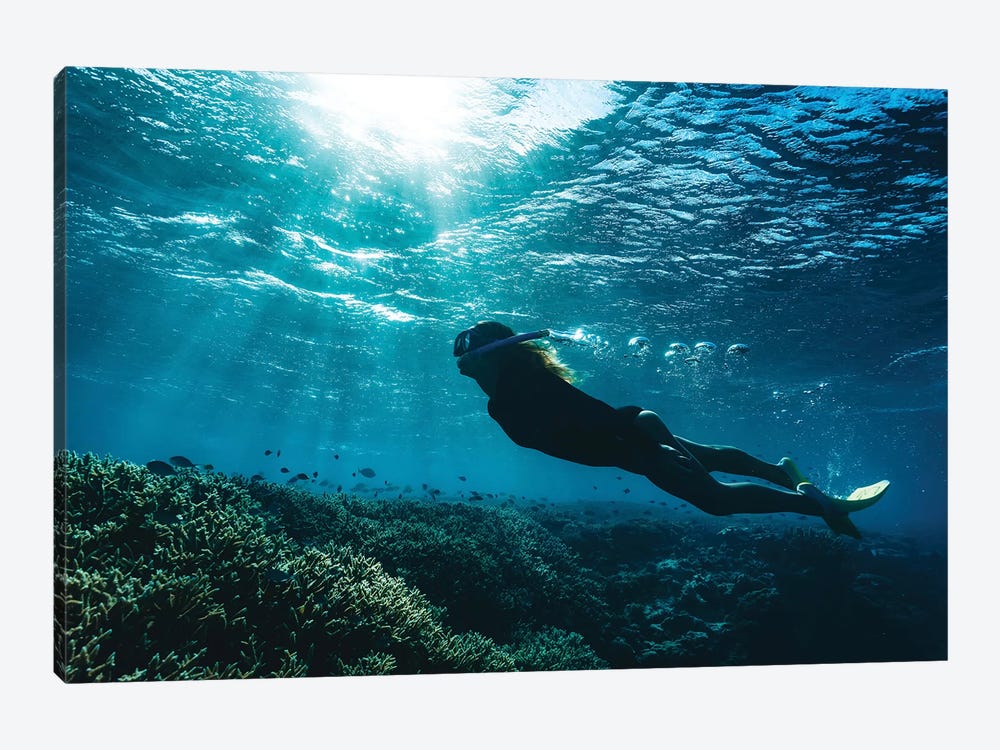 Snorkeller Girl Reef Light Rays by James Vodicka 1-piece Canvas Wall Art
