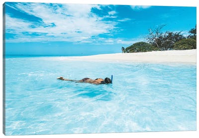 Snorkelling Girl Tropical Island Canvas Art Print - Island Art
