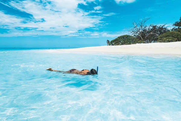 James Vodicka: Snorkelling Girl Tropical Island by James Vodicka