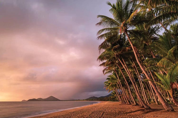 Stormy Beach Sunrise Palm Cove 2