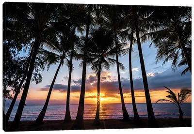 Sunrise Through Beach Palms Canvas Art Print - Tropical Beach Art