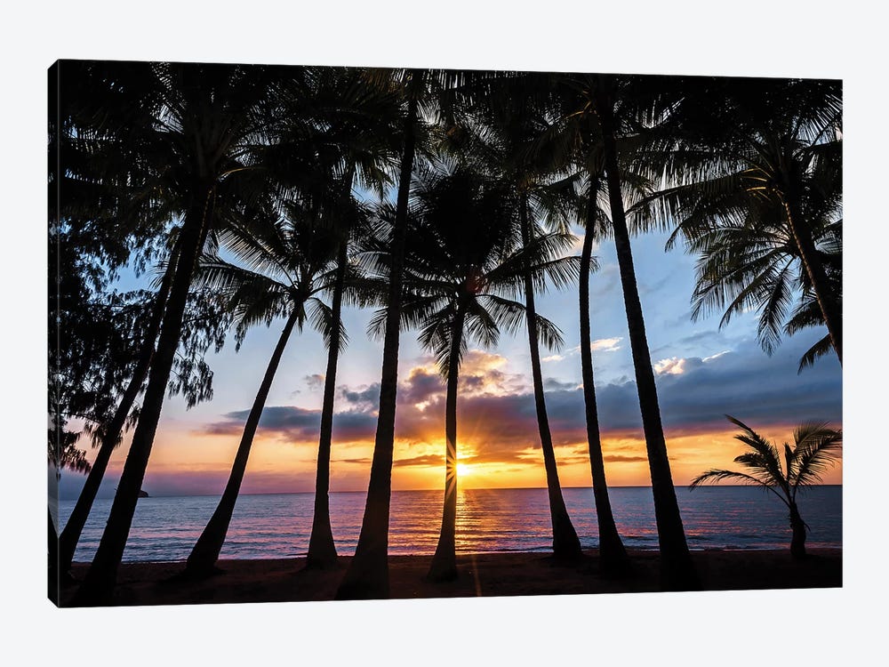 Sunrise Through Beach Palms by James Vodicka 1-piece Canvas Print