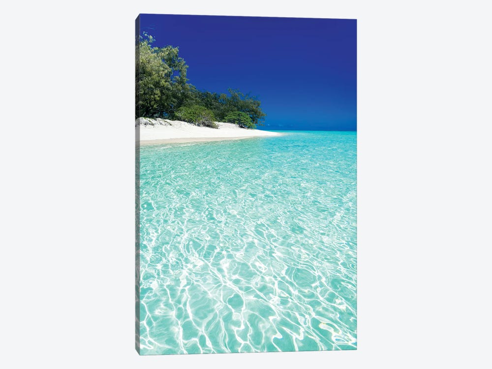 Tropical Island Blue Water Beach Landscape by James Vodicka 1-piece Canvas Art Print