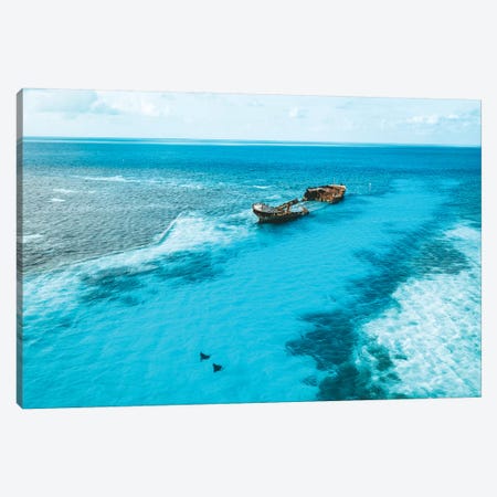 Tropical Island Shipwreck & Eagle Rays Canvas Print #JVO203} by James Vodicka Canvas Art Print