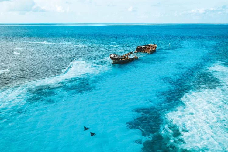 Tropical Island Shipwreck & Eagle Rays by James Vodicka wall art