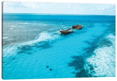 Tropical Island Shipwreck & Eagle Rays Canvas Art Print - James Vodicka