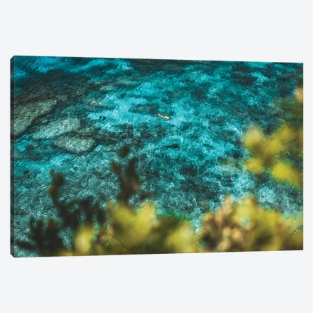 Turquoise Coral Reef with Snorkeller Canvas Print #JVO209} by James Vodicka Canvas Print