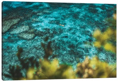 Turquoise Coral Reef with Snorkeller Canvas Art Print - James Vodicka