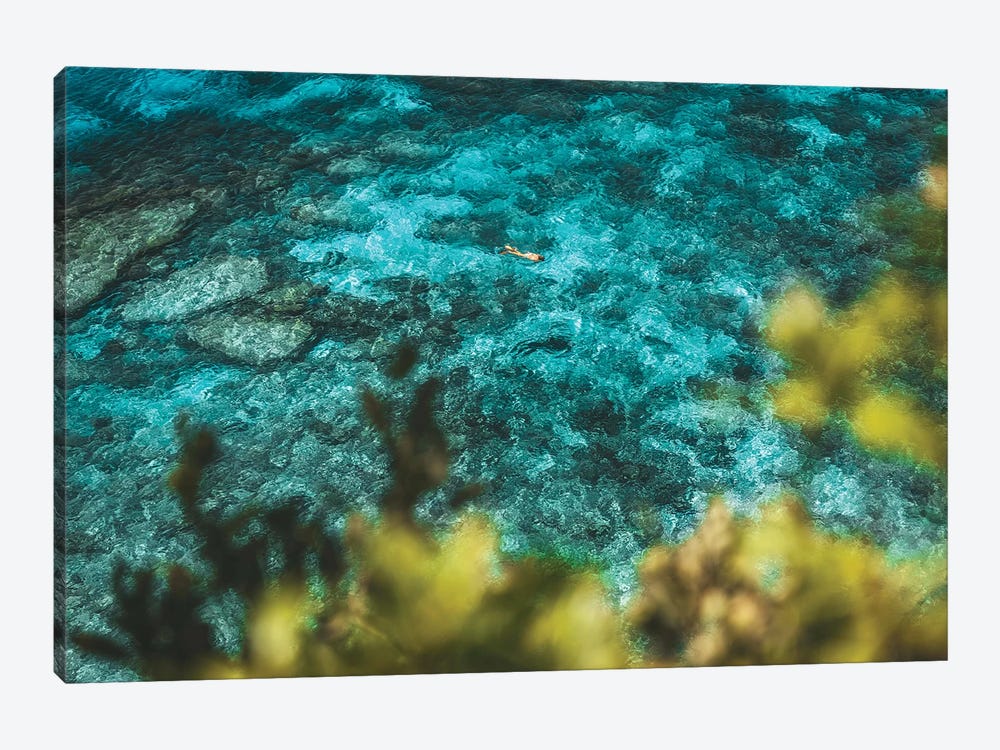 Turquoise Coral Reef with Snorkeller by James Vodicka 1-piece Canvas Wall Art