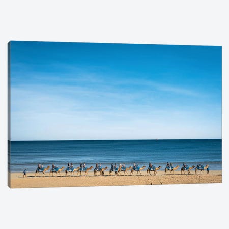 Cable Beach Camels Canvas Print #JVO20} by James Vodicka Canvas Wall Art