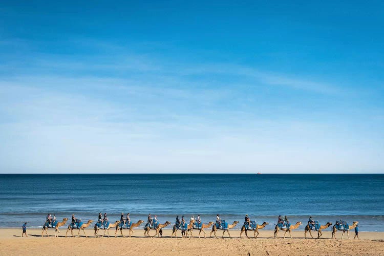 Cable Beach Camels