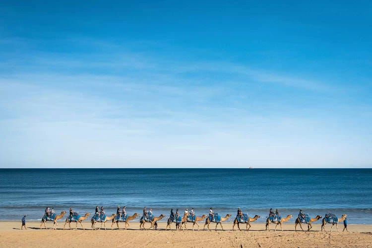 Cable Beach Camels by James Vodicka wall art