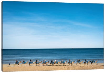 Cable Beach Camels Canvas Art Print - James Vodicka
