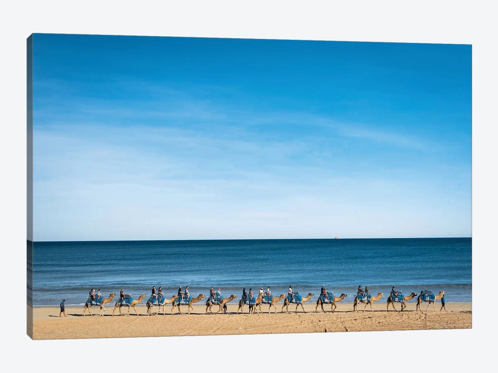 Cable Beach Camels by James Vodicka 1-piece Canvas Print