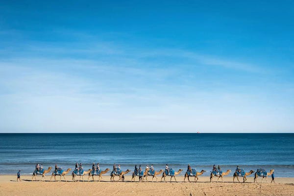 James Vodicka: Cable Beach Camels by James Vodicka