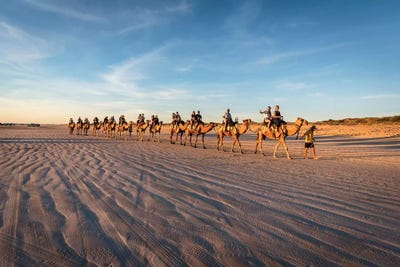 Cable Beach Sunset Camels by James Vodicka art print
