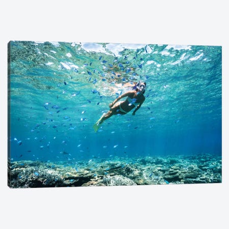 Underwater Bikini Snorkeller Coral Reef Fish Canvas Print #JVO215} by James Vodicka Canvas Print