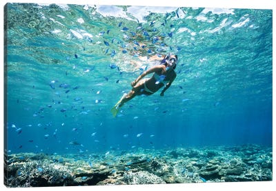 Underwater Bikini Snorkeller Coral Reef Fish Canvas Art Print