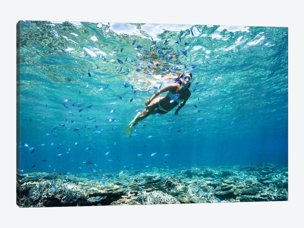 Underwater Bikini Snorkeller Coral Reef Fish by James Vodicka 1-piece Art Print