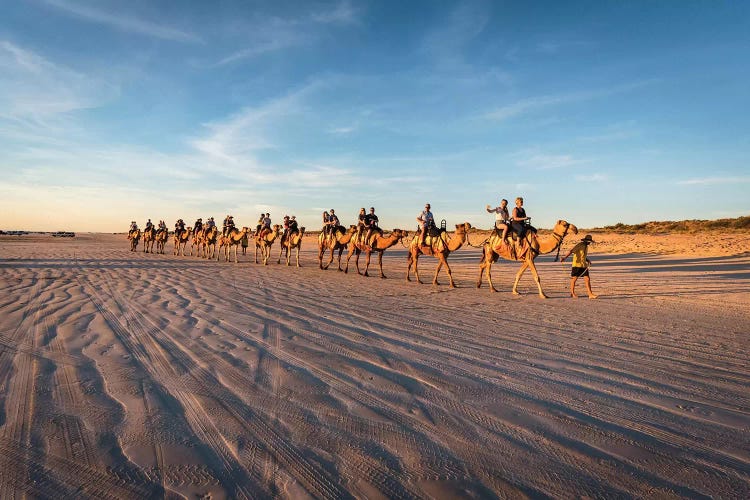 Cable Beach Sunset Camels