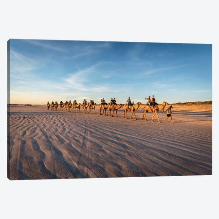 Cable Beach Sunset Camels Canvas Print #JVO21} by James Vodicka Canvas Wall Art