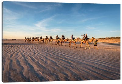 Cable Beach Sunset Camels Canvas Art Print - James Vodicka